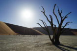 Deadvlei ist umgeben von riesigen Dünen, mit der 325 m hohen „Big Daddy“ im Hintergrund