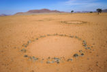 The first fairy circles appear on the way towards Wolwedans.