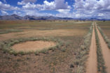 Das Bild aus dem Jahr 2000 zeigt einen Feenkreis neben einem Weg im Marienflusstal. Feenkreise speichern unterirdisch im Sand Wasser und versorgen - ähnlich wie der Weg - die Randpflanzen mit zusätzlichem Wasser.