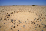 Investigating the unusual circles near Garub in southern Namibia.