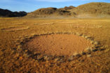 Fairy circles in the area of the Giribes Plains.