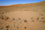 Fairy circles can be also found in the very dry Sossusvlei.