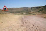 At the end of the day we drive up the Grootberg-Pass to the lodge, from where you have a great view into the valley