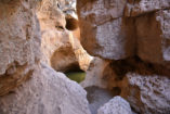 In the dry season, a permanent reservoir provides water to animals