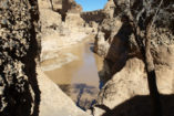 During the rainy season from February to April, the Tsauchab is often flowing through the canyon with rain water of the eastern catchment area in the Naukluft Mountains