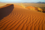 The Elim Dune is easy to climb and provides beautiful view points from various elevations.