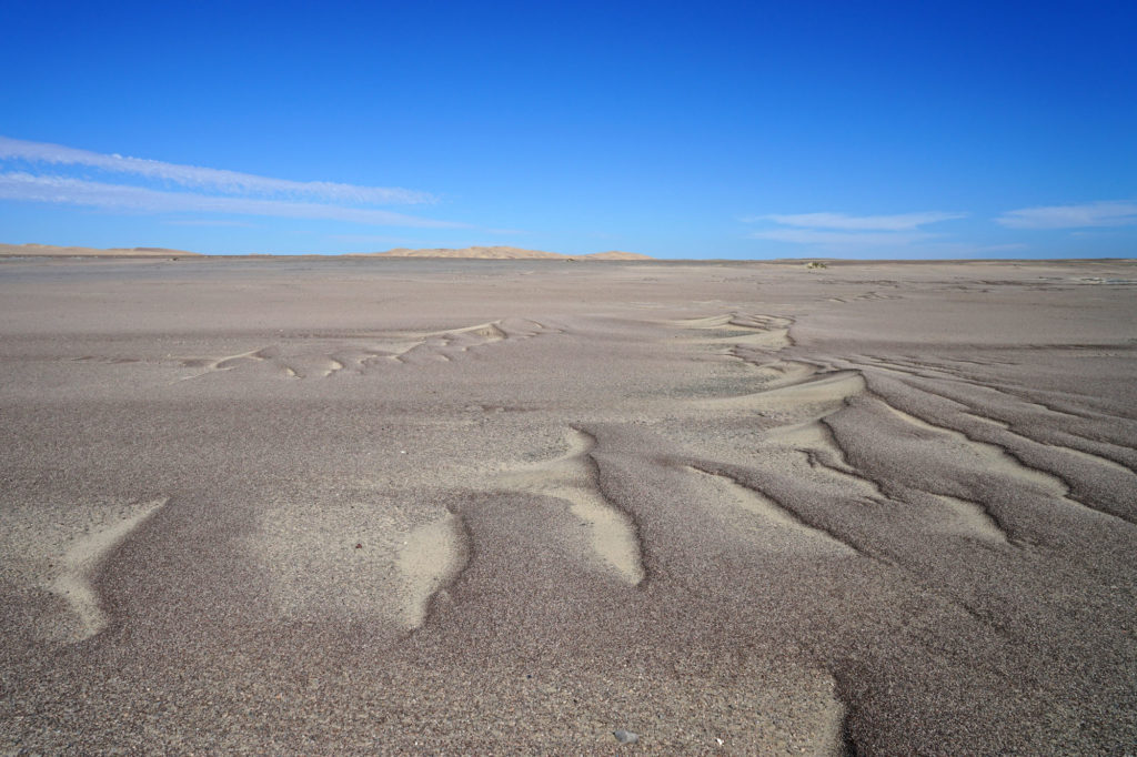 Megarippel wie hier bei Torra Bay an der Skelettküste der Namib sind eine Zwergform der viel größeren Sanddünen, die man im Hintergrund sehen kann.