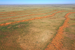 Kalahari north of Ariamsvlei
