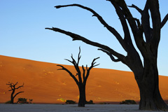 Deadvlei