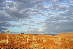 North of Palmwag in Damaraland