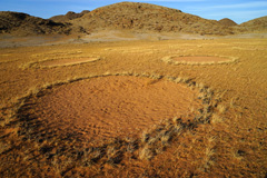 Fairy circles at Giribes