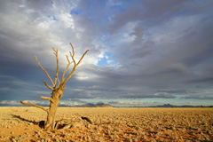 NamibRand Nature Reserve