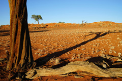 NamibRand Nature Reserve