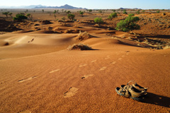 NamibRand Nature Reserve