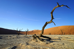 Deadvlei