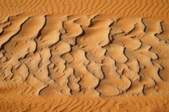 Sand ripples in Tsondab Valley