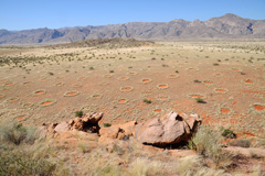 Fairy circles in Marienfluss Valley