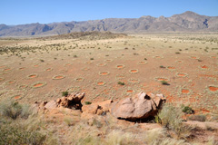 Fairy circles in Marienfluss Valley