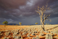 NamibRand Nature Reserve