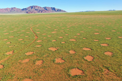 Fairy circles at NamibRand Nature Reserve