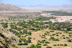 Hoarusib River near Purros