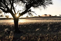 NamibRand Nature Reserve