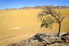 Blick auf die Giribes vom Leopard-Felsen