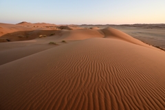 Hinter Gobabeb erstrecken sich die Lineardünen über 300 km südwärts bis nach Lüderitz