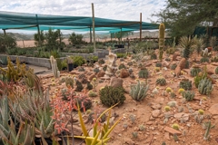 Auf der Farm Berghof werden Wüstenpflanzen gezüchtet und ein neuer botanischer Garten entsteht gerade
