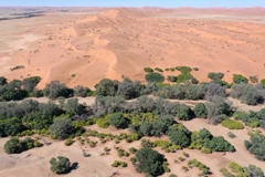 Hinter dem Kuiseb erstreckt sich das Namib-Sandmeer mit seinen Lineardünen
