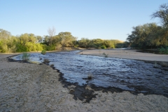 Der fließende Kuiseb im Februar 2020