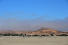 Morgendlicher Nebel zieht von der Küste bis Gobabeb