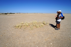 Diese mit Gras gefüllten Kreise findet man in der Nähe von den Mirabeb-Felsen