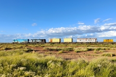 A train belonging to the TransNamib railway company next to the asphalt road