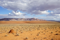 Termite mounds at the foot of the Rooirand Mountains