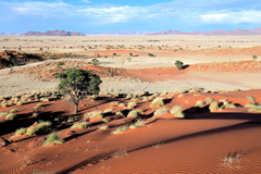 The camp is located in the middle of the dunes


