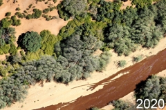 Durch das jährliche Monitoring lässt sich das Wachsen und Absterben der Bäume genau nachverfolgen