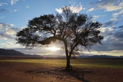 Sunset at the farm of the Greenfire Lodge