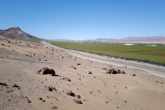 The village of Aussenkehr on the Oranje River lives mainly from grape production