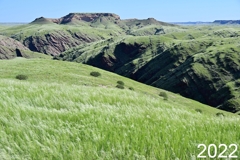 Nach außergewöhnlichen Regenfällen in 2022 verwandelt sich die Landschaft extrem