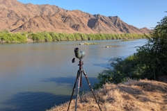 With the spotting scope, birds can be observed at close range on the Orange River