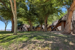 The chalets are surrounded by lush vegetation