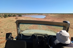 Auf Safari im Okonjati Game Reserve der Mount Etjo Lodge