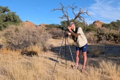 Mit dem Swarovski-Spektiv und seiner 25- bis 60-fachen Vergrößerung kommt man ganz nah an die Vögel heran