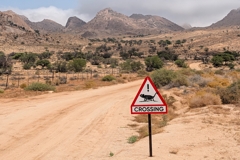 You can hike or cycle in the Kubub Mountains behind the lodge