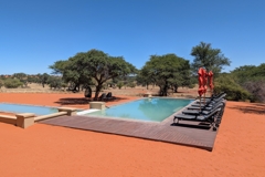 The pool at Zebra Kalahari Lodge