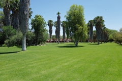 Am Morgen können Sie noch einmal das Grün der Lodge genießen