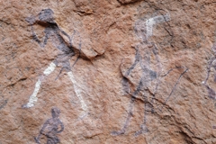 Die Zeichnungen sind filigran und mehrfarbig