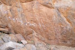 Die Motive zeigen Antilopen (links), Menschen (mittig) und Giraffen (rechts)