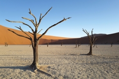 Deadvlei